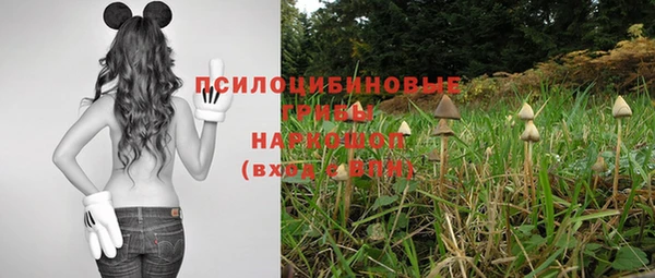 ПСИЛОЦИБИНОВЫЕ ГРИБЫ Балахна