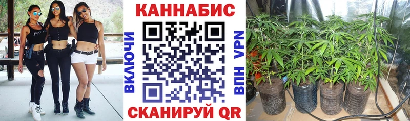 наркота  Фролово  shop официальный сайт  Шишки марихуана LSD WEED 